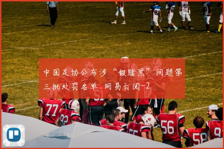 中国足协公布涉“假赌黑”问题第三批处罚名单_网易订阅