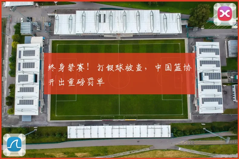 终身禁赛！打假球被查，中国篮协开出重磅罚单